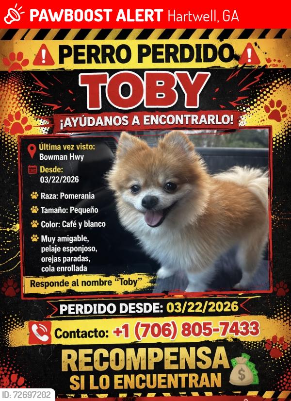 Lost Male Dog last seen Bowman hwy, Hartwell, GA 30643