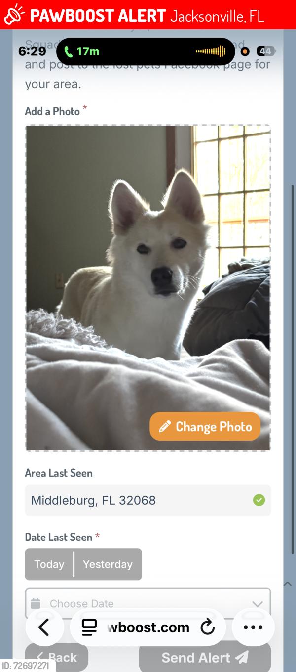 Lost Female Dog last seen Blanding blvd , Jacksonville, FL 32244