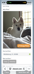 Lost Female Dog last seen Blanding blvd , Jacksonville, FL 32244