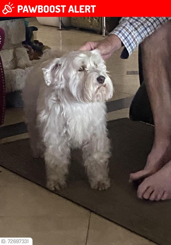Lost Female Dog last seen VZCR 3215 & 3214 , Van Zandt County, TX 75169
