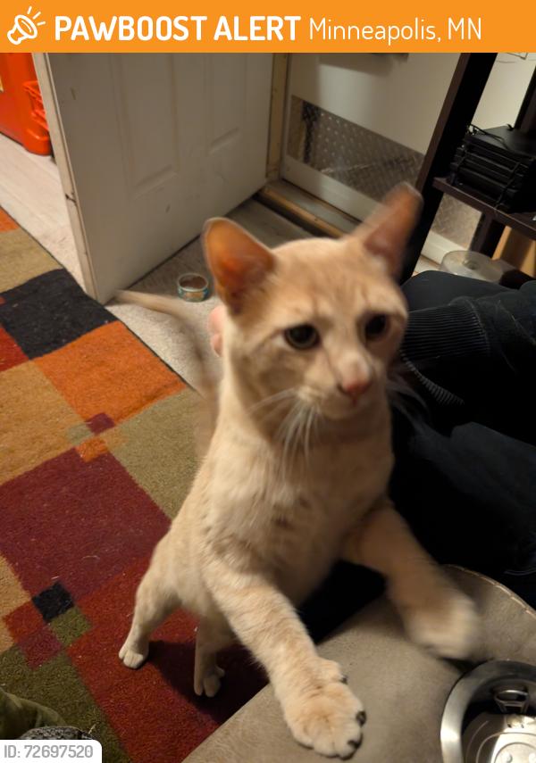 Found/Stray Male Cat last seen Fremont and Lowry, Minneapolis, MN 55412