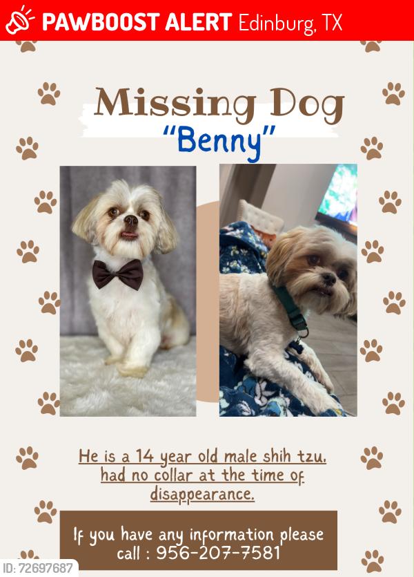 Lost Male Dog last seen Near splendor lane Edinburg tx , Edinburg, TX 78542