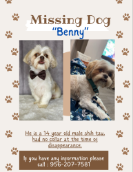 Lost Male Dog last seen Near splendor lane Edinburg tx , Edinburg, TX 78542