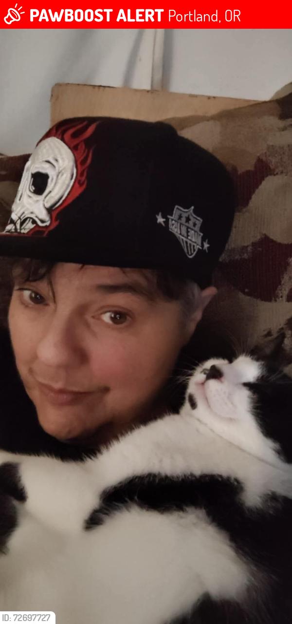 Lost Male Cat last seen Willamette.blvd and Ida st, Portland, OR 97203