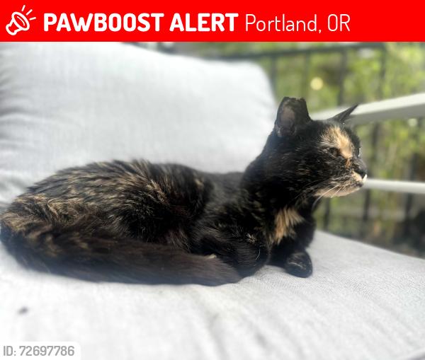 Lost Female Cat last seen Sulllivan's Gulch, Portland, OR 97232