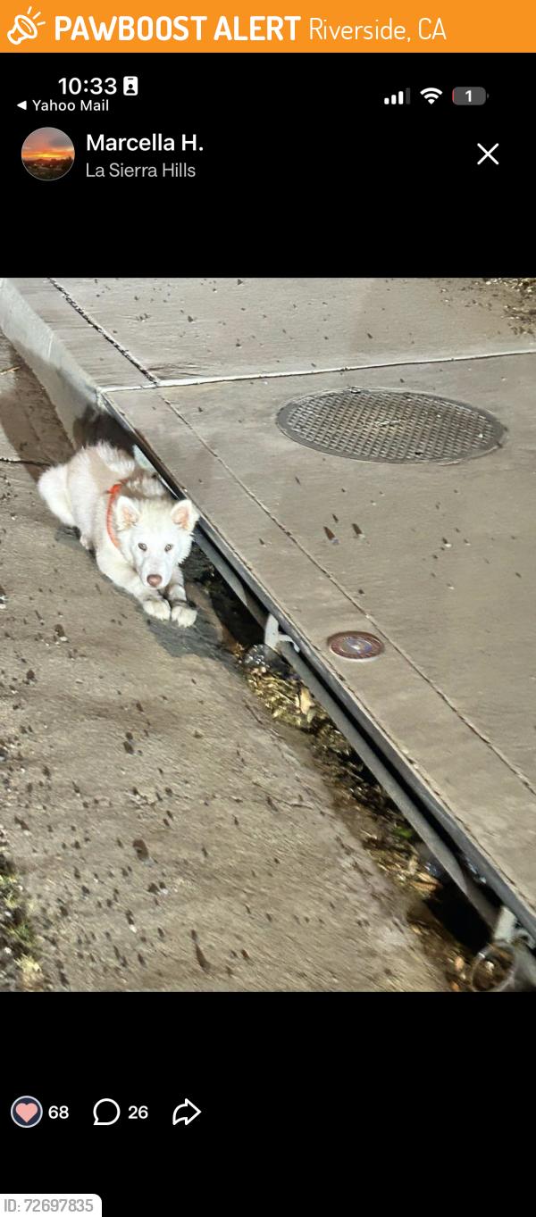 Found/Stray Unknown Dog last seen La sierra , Riverside, CA 92505