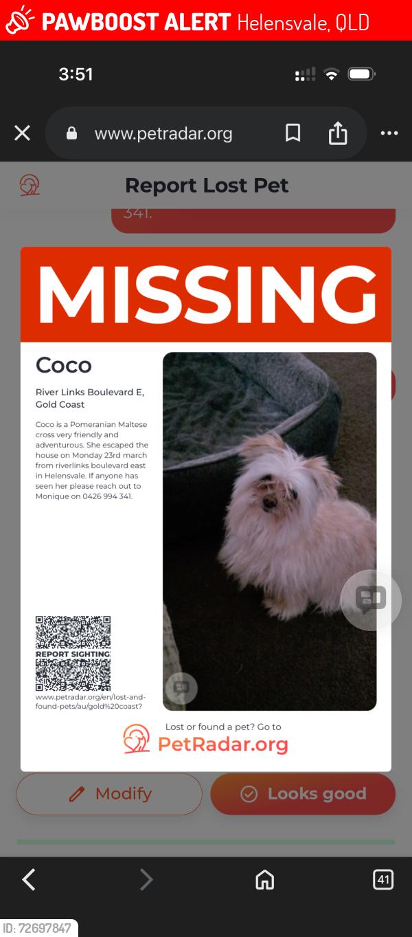 Lost Female Dog last seen Near riverlinks boulevard east, Helensvale , Helensvale, QLD 4212