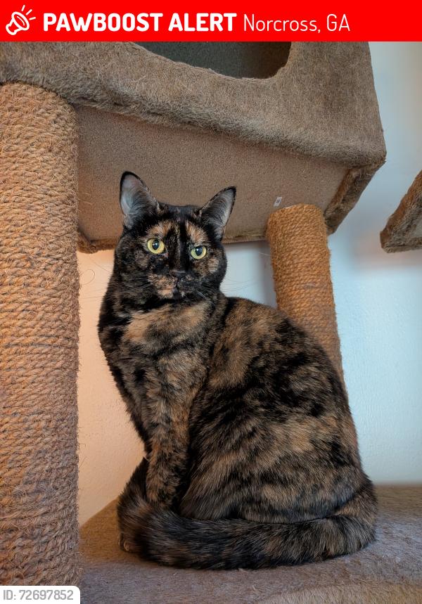 Lost Female Cat last seen Woodlands Condominium Complex, Norcross, GA 30092