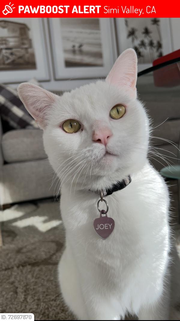 Lost Male Cat last seen Tapo Canyon, Simi Valley, CA 93063