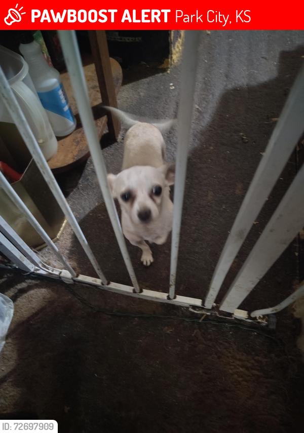 Found/Stray Male Dog last seen 69th N and Broadway st N, Park City, KS 67219
