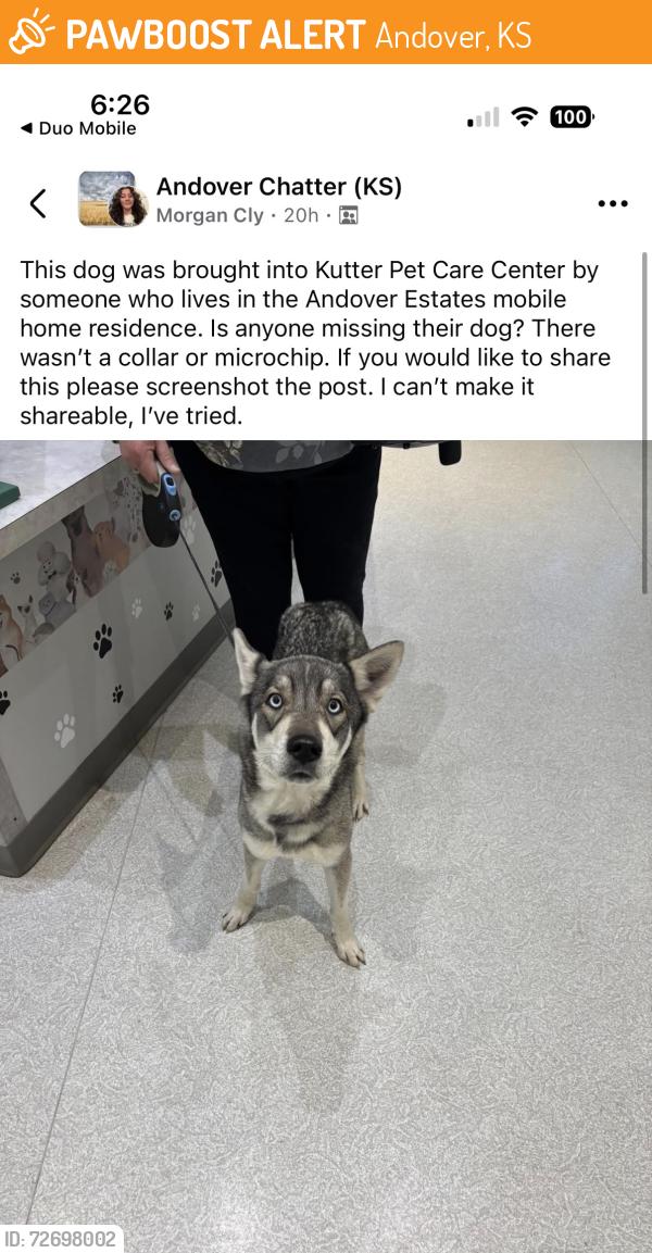 Found/Stray Unknown Dog last seen Central/159, Andover, KS 67002