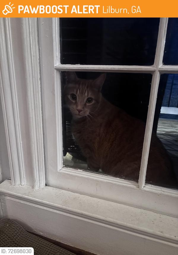 Found/Stray Unknown Cat last seen Oak Road & Highpoint, Lilburn, GA 30047