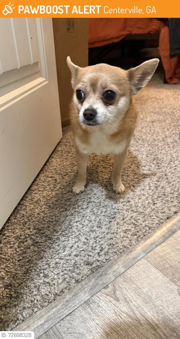 Found/Stray Male Dog last seen Old Stone Crossing, Centerville, GA 31028