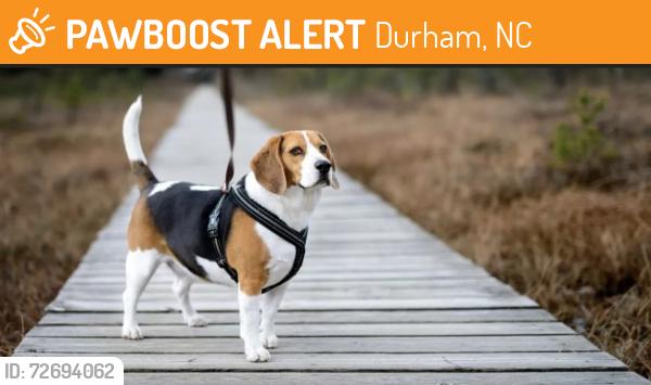 Found/Stray Unknown Dog last seen Near 4418 guess road durham, Durham, NC 27712