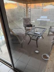 Found/Stray Unknown Cat last seen Dunn, Jacksonville, FL 32219