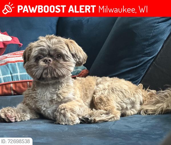 Lost Male Dog last seen Upper east side, Milwaukee, WI 53211