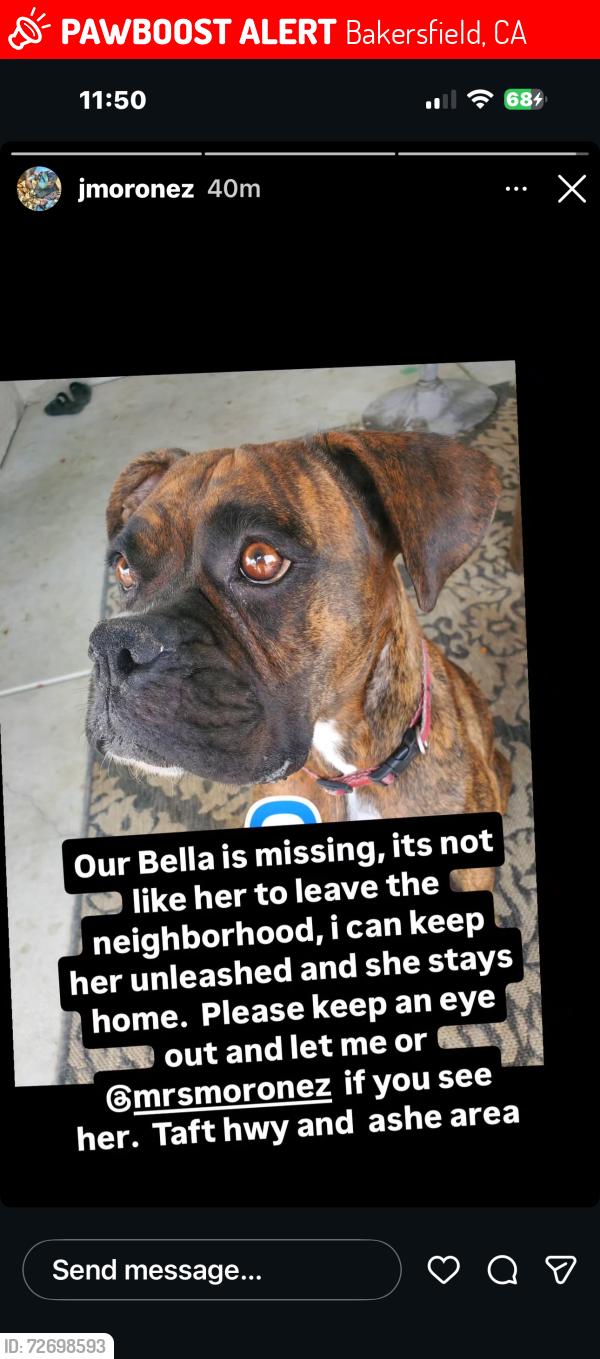 Lost Female Dog last seen Sports Villiage soccer park , Bakersfield, CA 93313