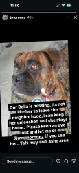 Lost Female Dog last seen Sports Villiage soccer park , Bakersfield, CA 93313