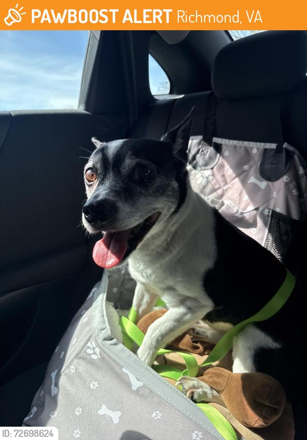 Found/Stray Male Dog last seen Trinity Care Medical , Richmond, VA 23235