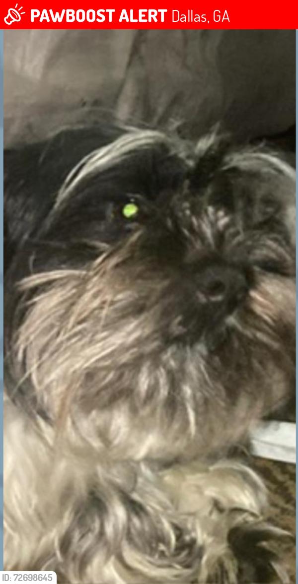 Lost Male Dog last seen Dallas ga, Dallas, GA 30132