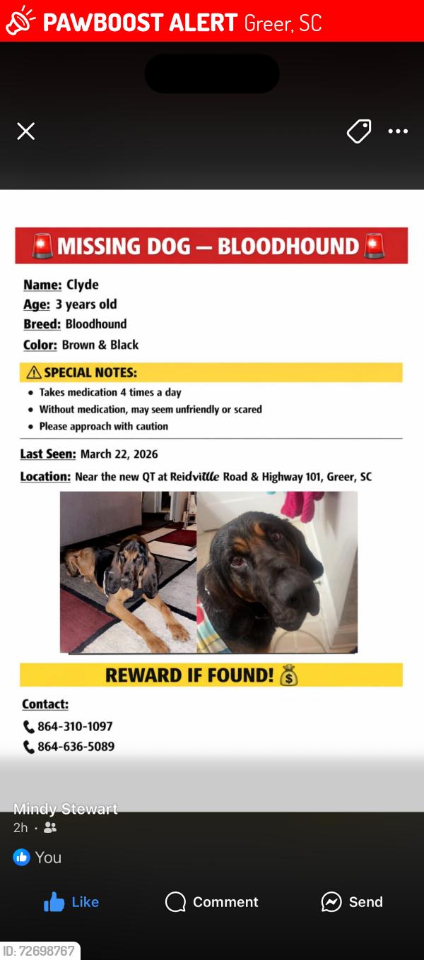 Lost Male Dog last seen QT Reidville Road, Greer, SC 29651