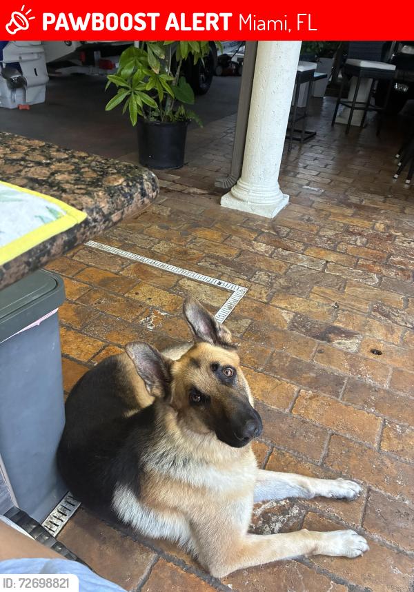 Lost Male Dog last seen Robert Hunter park trail , Miami, FL 33177