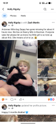 Lost Female Dog last seen Nacy mountain North Carolina , Rosman, NC 28772