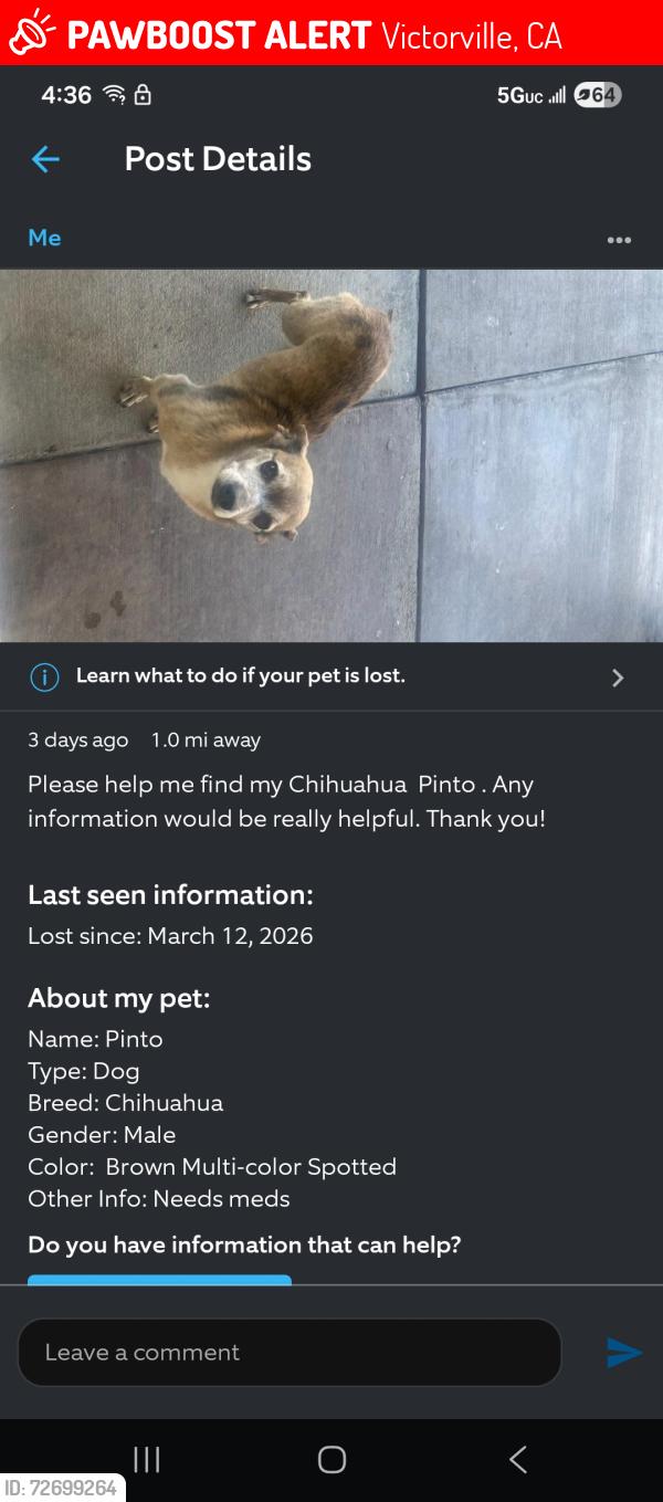 Lost Male Dog last seen Cobalt Rd and Dos Palmas , Victorville, CA 92392