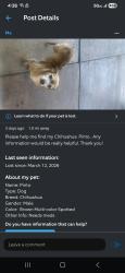 Lost Male Dog last seen Cobalt Rd and Dos Palmas , Victorville, CA 92392