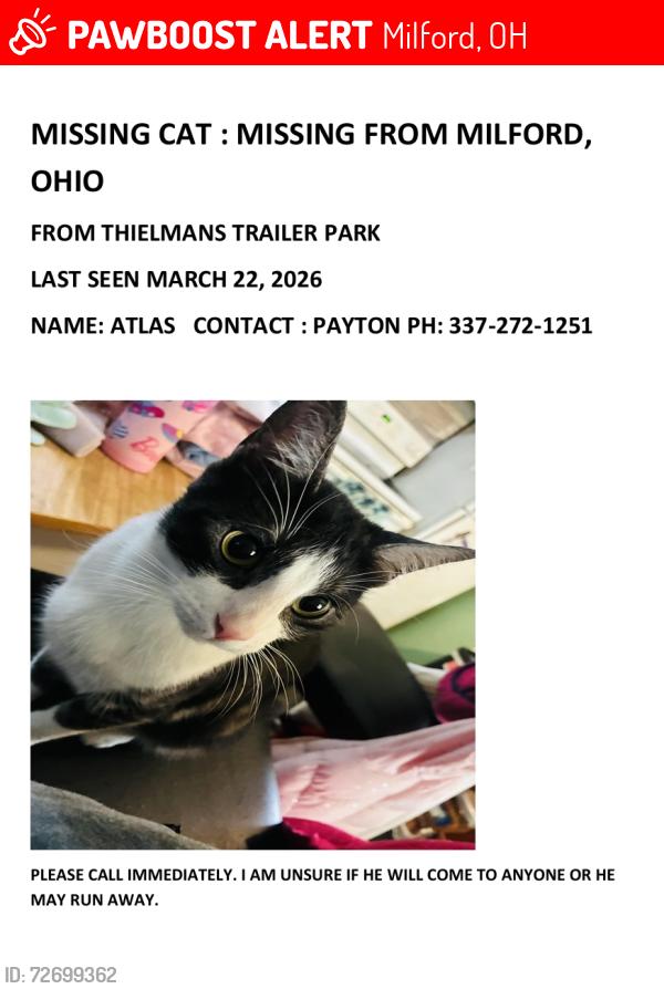 Lost Male Cat last seen theilmans trailer park, Milford, OH 45150