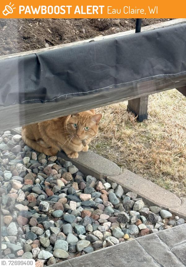 Found/Stray Unknown Cat last seen Northwest Park, Eau Claire, WI 54703