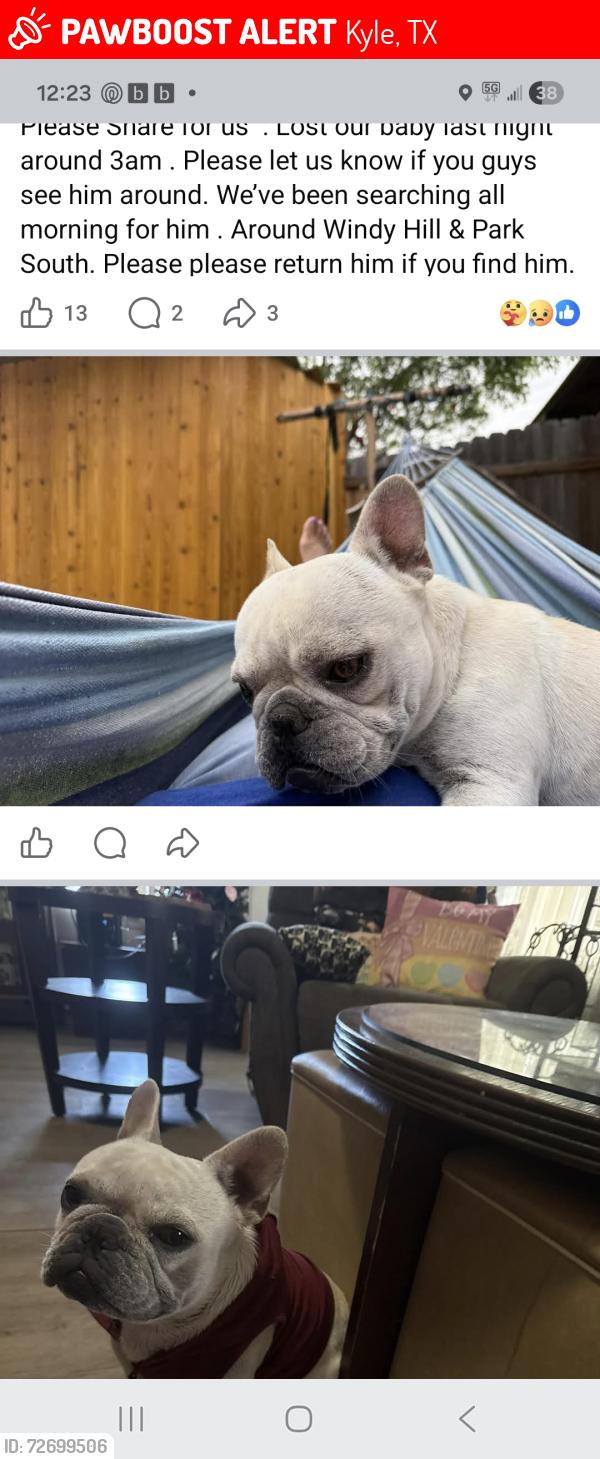 Lost Male Dog last seen Windy Hill/ Park South Dr, Kyle, TX 78640