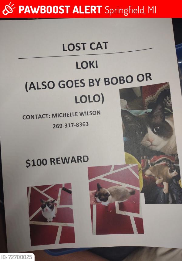 Lost Male Cat last seen Dog park, Springfield, MI 49037