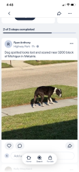 Found/Stray Unknown Dog last seen Bonnabel high school, Metairie, LA 70003
