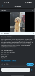 Lost Male Dog last seen Holland Park , Deer Creek , Acadia Drive , Newton bridge road , Athens, GA 30607