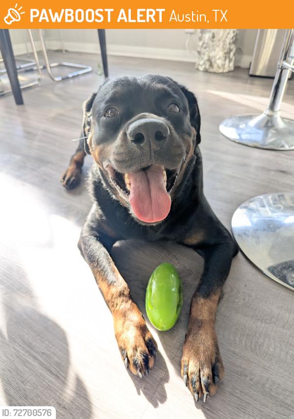 Found/Stray Male Dog last seen Near / West Parmer / McNeil area, Austin, TX 78727