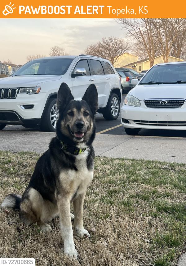 Found/Stray Female Dog last seen Huntoon and glendale, Topeka, KS 66614