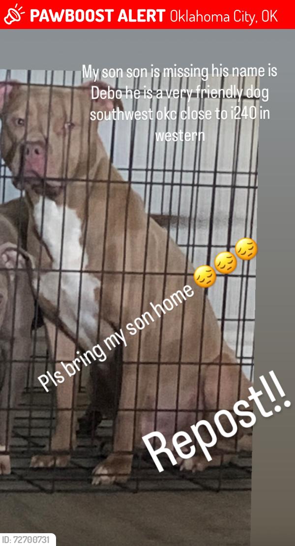 Lost Male Dog last seen Southwest western and walker , Oklahoma City, OK 73139