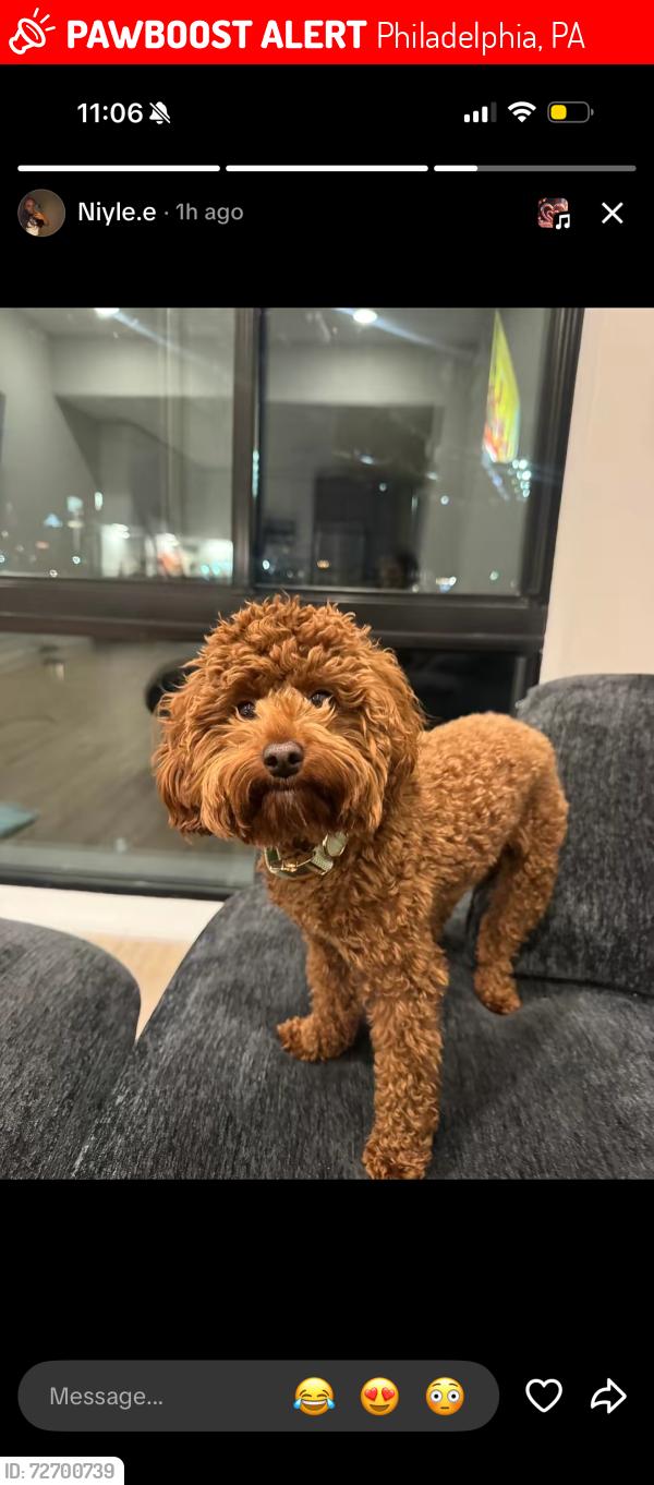 Lost Male Dog last seen Delaware ave and Columbus blvd , Philadelphia , Philadelphia, PA 19125