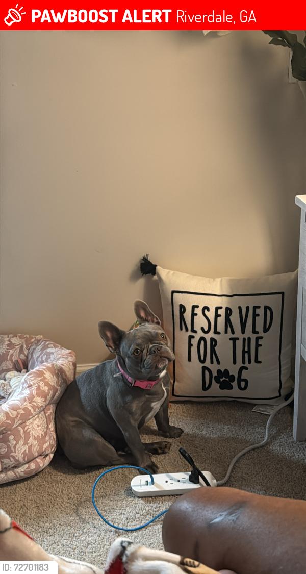 Lost Female Dog last seen Near beethoven circle, Riverdale, GA 30296