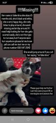 Lost Female Dog last seen Victory outreach Kansas city, Kansas City, MO 64128