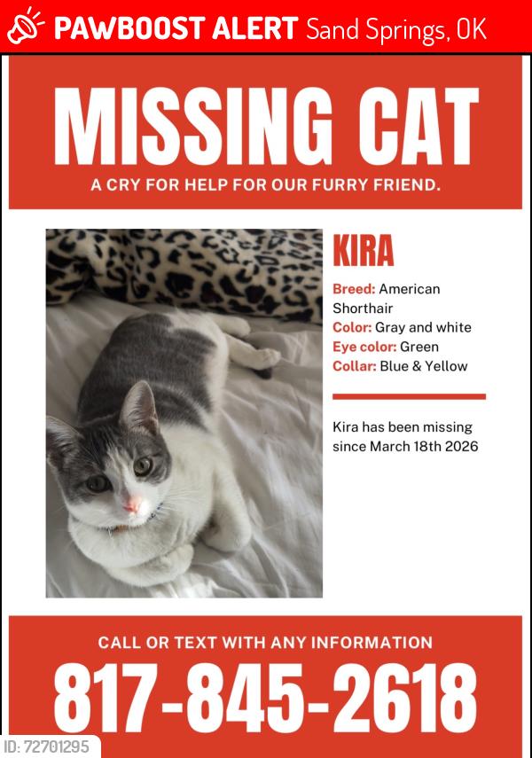 Lost Female Cat last seen Near S. 145th West Ave Sand Springs, OK. 74063, Sand Springs, OK 74063