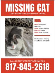 Lost Female Cat last seen Near S. 145th West Ave Sand Springs, OK. 74063, Sand Springs, OK 74063