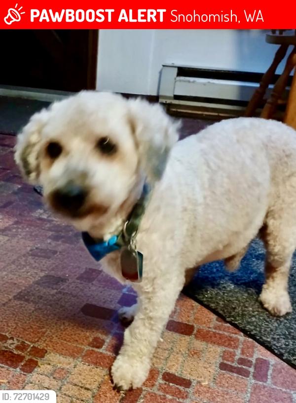 Lost Male Dog last seen 79th Ave SE Snohomish, Snohomish, WA 98290