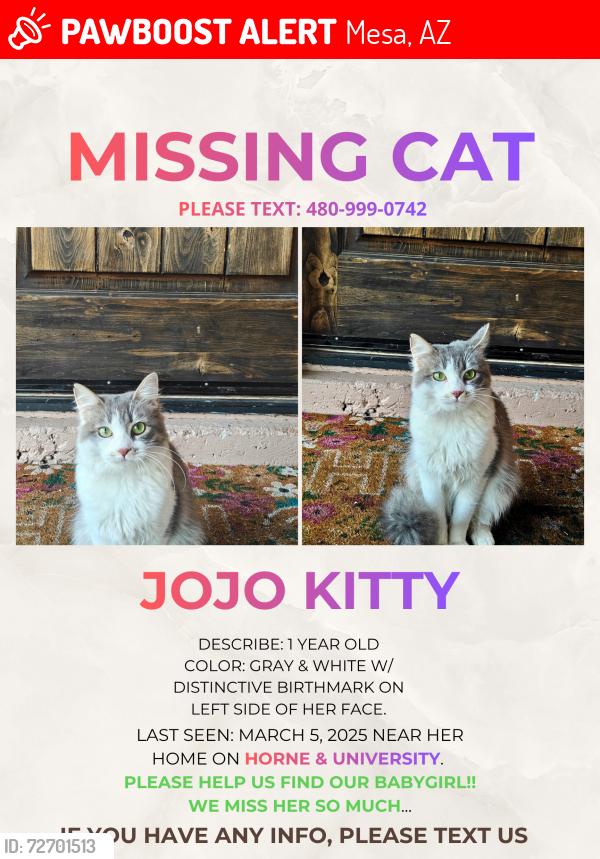 Lost Female Cat last seen University & Stapley, Mesa, AZ 85203