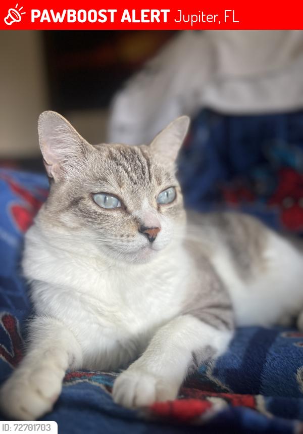 Lost Male Other last seen In a neighborhood , Jupiter, FL 33458
