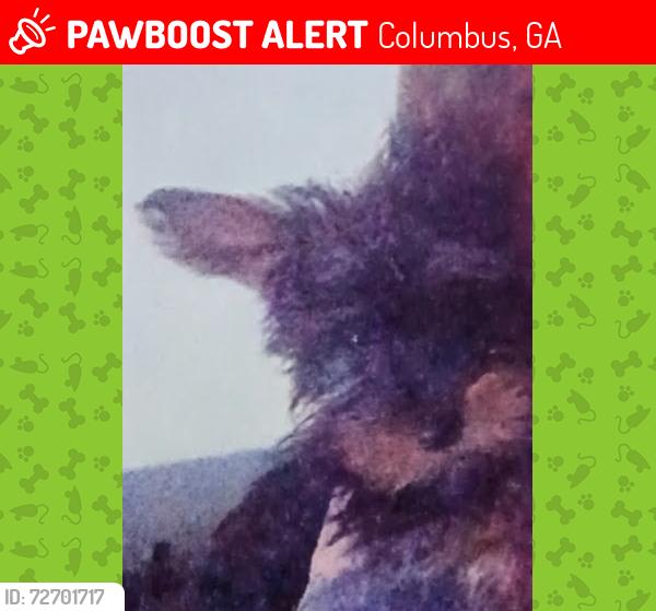 Lost Female Dog last seen Manchester expressway, Columbus, GA 31901