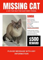 Lost Male Cat last seen Harcourt Street , Doncaster, VIC 3108