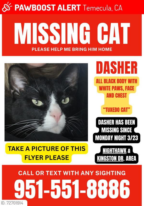 Lost Male Cat last seen Nighthawk Pass and Chaote St, Temecula, CA 92592