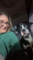 Lost Male Dog last seen Nine Mile Bridge, and nine Mile azle, Fort Worth, TX 76135